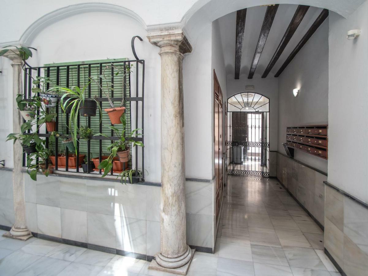 Apartamento Aires Mediterraneos Lejlighed Cádiz Eksteriør billede
